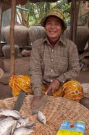 Cutting fish at the market / Experiences when travelling through villages in Cambodia