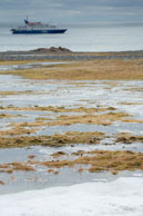 Melt Water on the Tundra / Melt waters make the tundra very boggy at Vårsolbukta, Bellsund, Svalbard