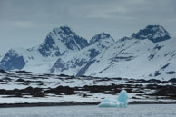Blue Iceberg / Blue iceberg floating in Samarinvågen / Brepollen, Svalbard