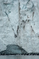 Birds and Glacier / Lots of birds in front of the glacier at Samarinvågen / Brepollen, Svalbard